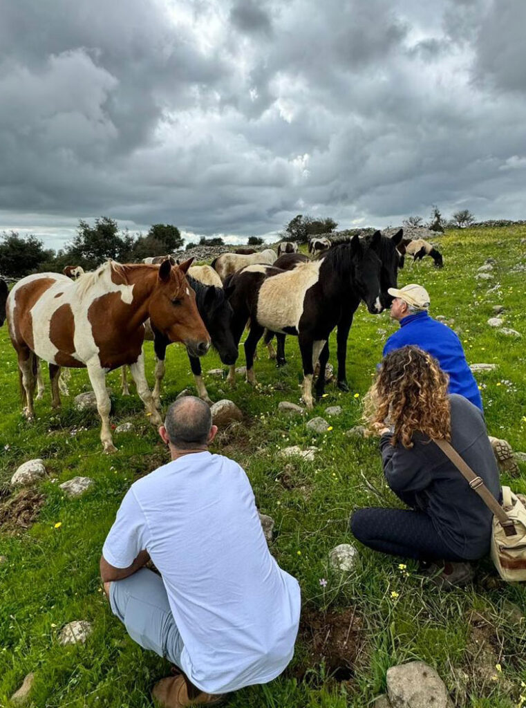 טיפול להלומי קרב ובני משפחותיהם