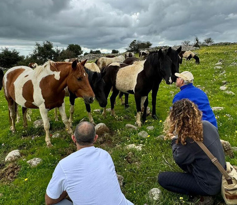 טיפול להלומי קרב ובני משפחותיהם